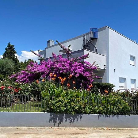 Villa Daniel بولا المظهر الخارجي الصورة