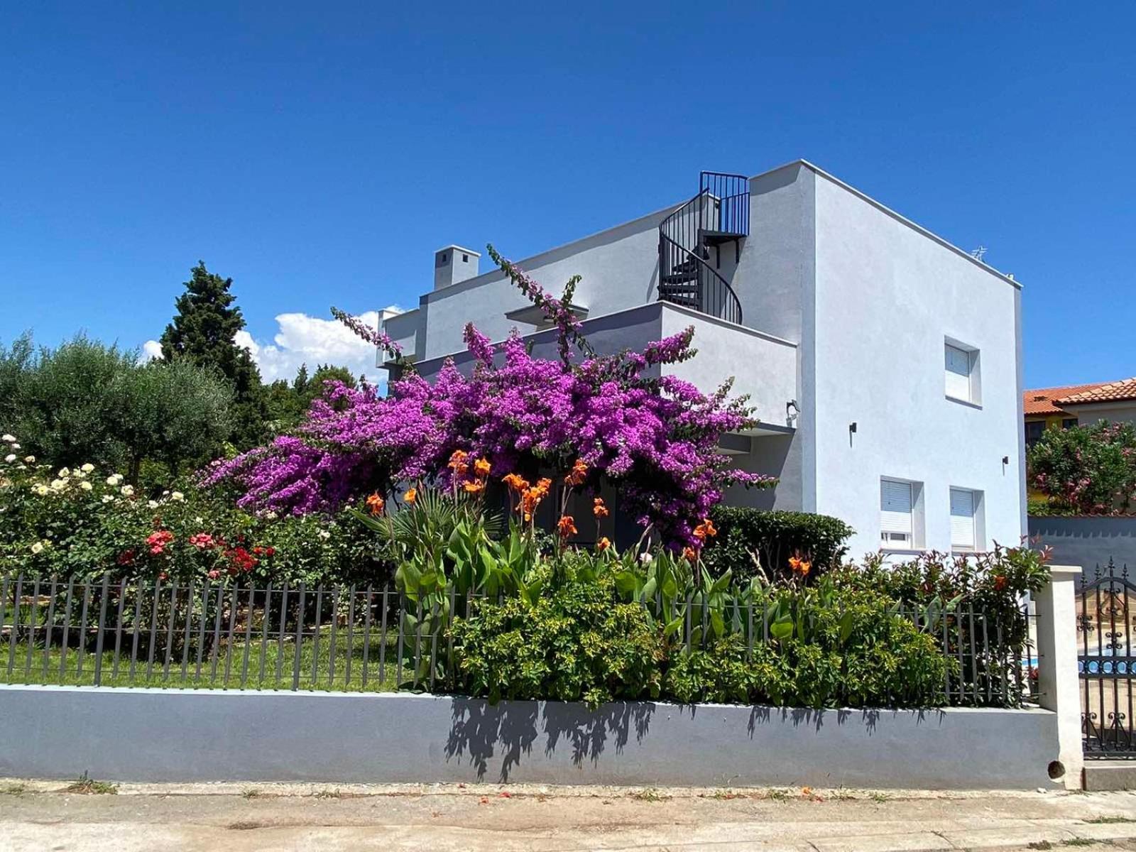 Villa Daniel بولا المظهر الخارجي الصورة